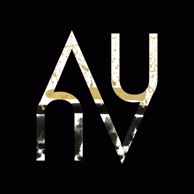 logo Asymmetric Universe